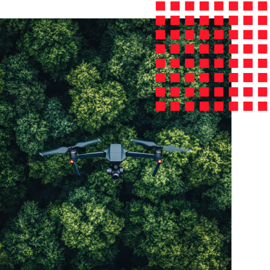 Great Place To Work X Ecording Partnerlik Teknolojiyle Doğayı Yeniden Yeşertiyoruz