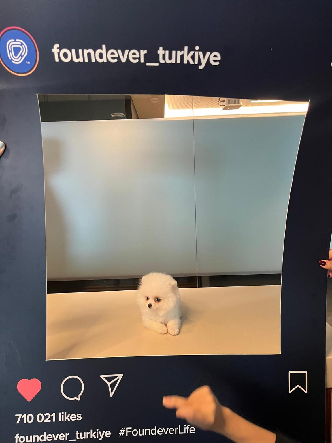 Foundever4